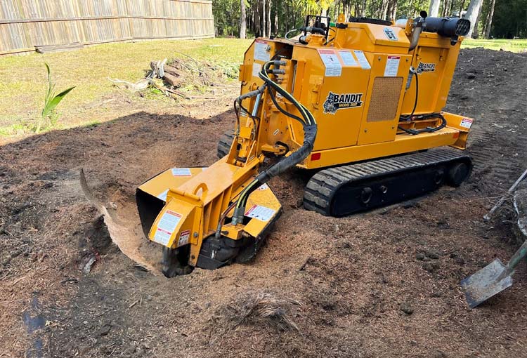 What is stump grinding? Terranora and Tweed Heads NSW professional tree stump grinding service