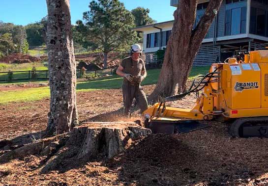Request quote Stanleys Tree Stump Removal Terranora Tweed Heads location.