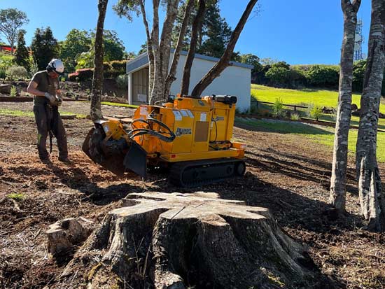 Sean Stanley Tree Stump Grinding and Tree Stump Removal - Servicing Tweed Heads, gold Coast, Byron Bay areas. Call for a FREE quote
