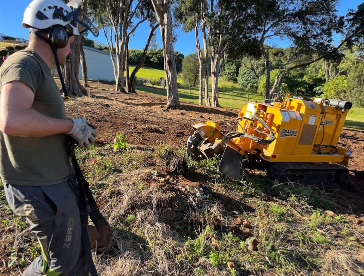 Professional Stump Grinding Service Burleigh Heads Queensland Picture 01