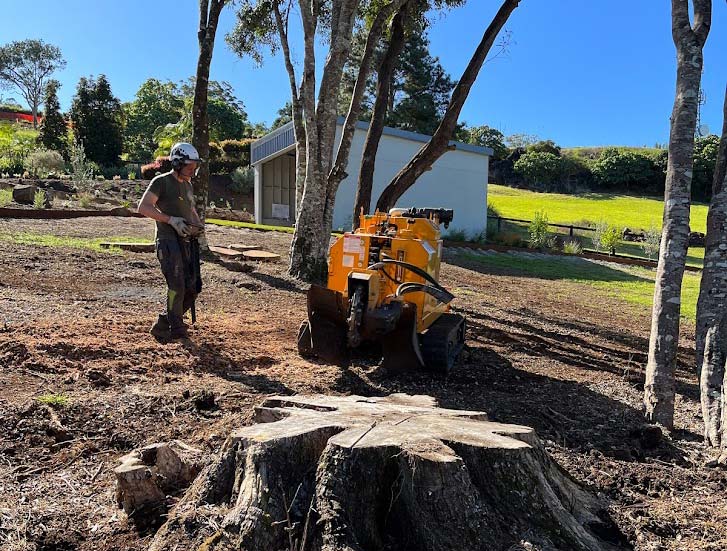 Professional Stump Grinding Service Burleigh Heads Queensland Picture 02